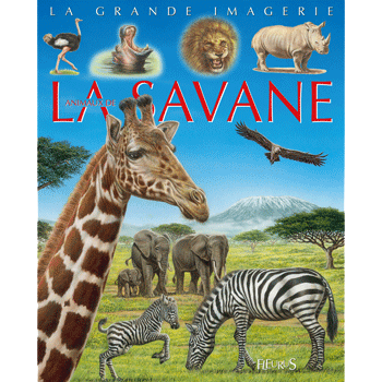 savane